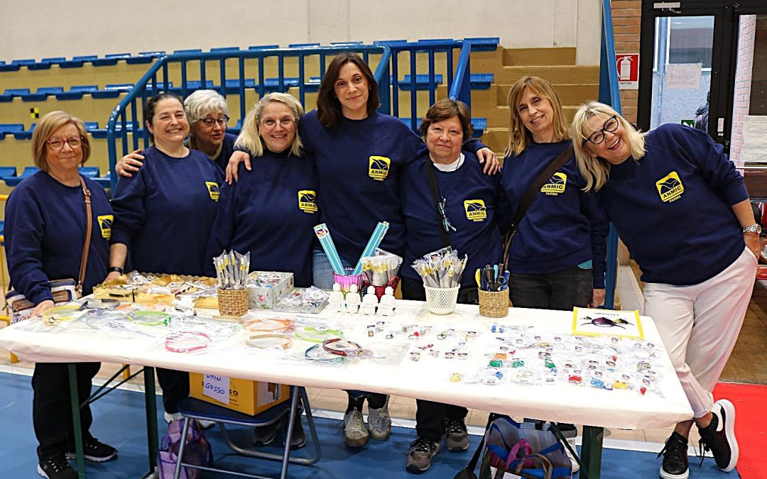 Temporary Shop Euro Torri: le date del banchetto di Anmic