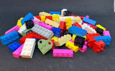 Giornata Lego: terza edizione di “Un mattoncino per il giardino di Luana” domenica 23 marzo