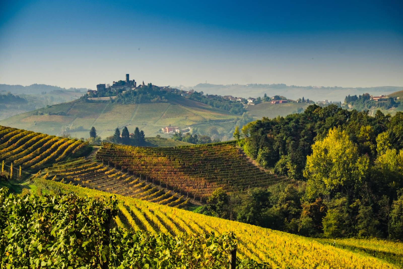 Gita nelle Langhe sabato 25 febbraio