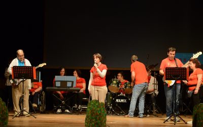 Anmic in Music: l’evento musicale nato per riconoscenza verso l’associazione